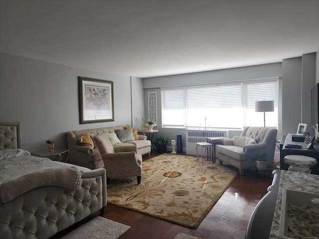 living area featuring radiator heating unit