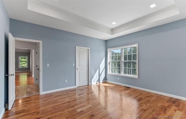 empty room featuring a tray ceiling, wood finished floors, baseboards, and a wealth of natural light