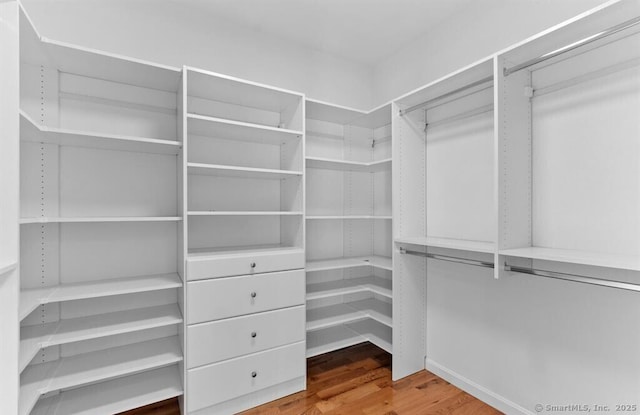 spacious closet featuring wood finished floors