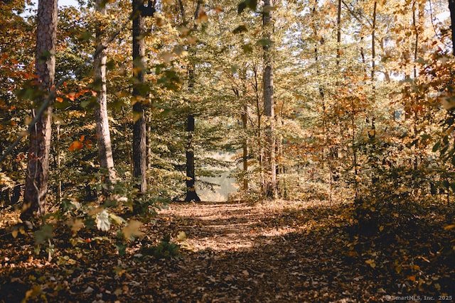 view of local wilderness with a forest view