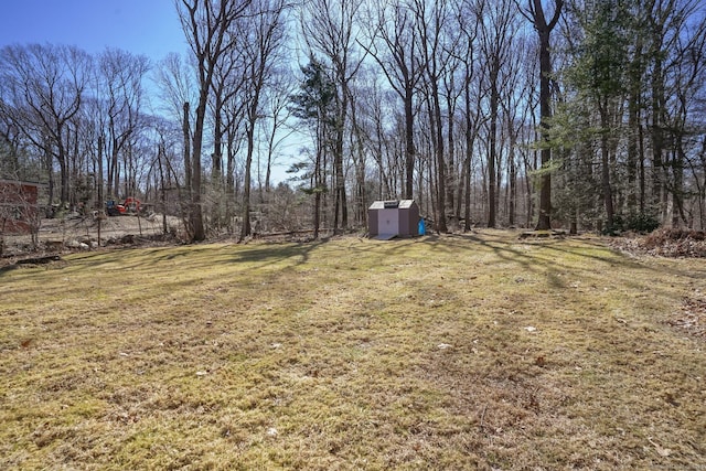 view of yard featuring a storage unit and an outdoor structure