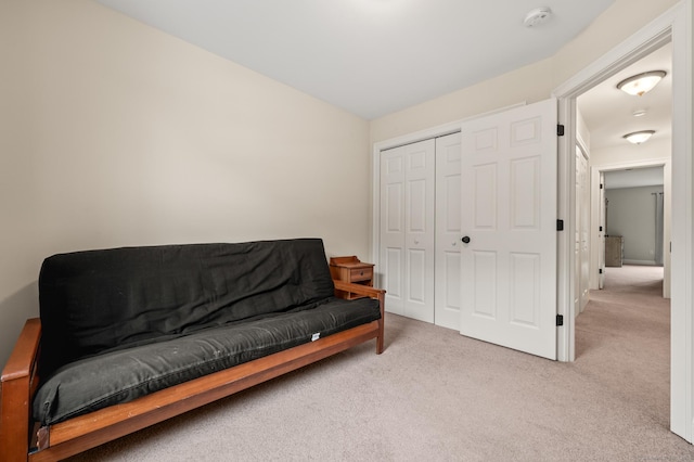 sitting room featuring carpet flooring