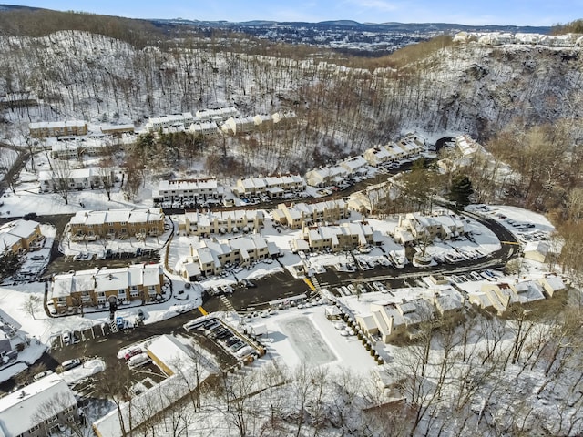 view of snowy aerial view