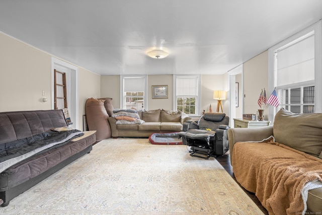 living room featuring wood finished floors