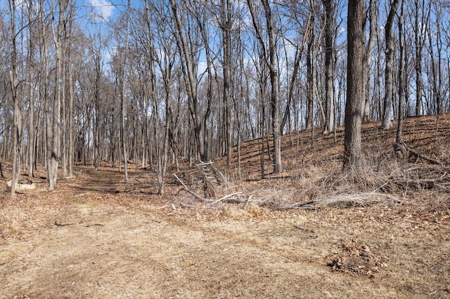 view of local wilderness