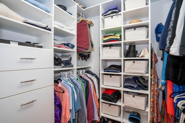 view of walk in closet