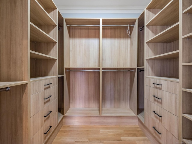 412 Tanner Marsh Rd, Guilford, CT 06437 - spacious closet with light wood-type flooring