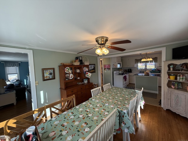 dining room with ceiling fan, dark wood-style floors, and crown molding