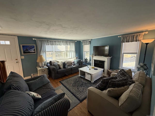 living area featuring wood finished floors, baseboards, a fireplace, a baseboard heating unit, and crown molding