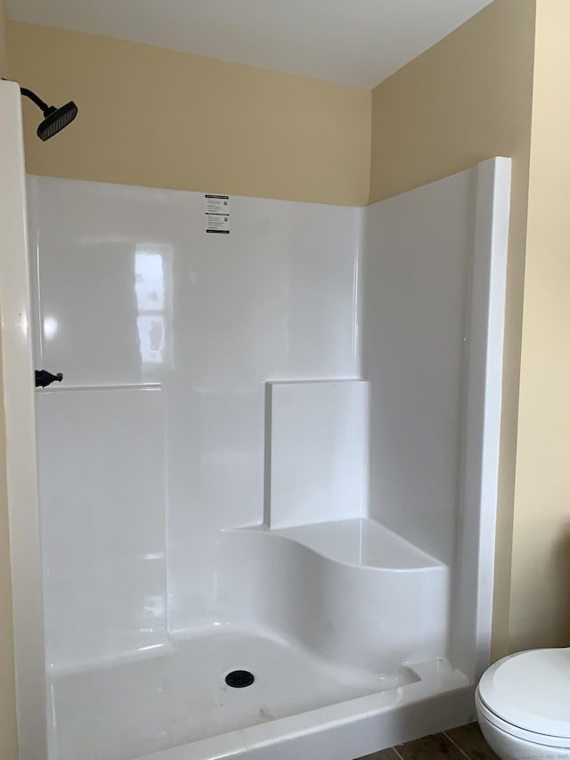 full bathroom with toilet and a shower