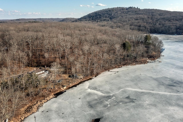 mountain view featuring a wooded view
