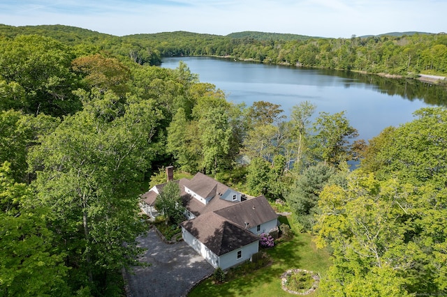 56 Mount Tom Passway Passway, Morris, CT 06763 - aerial view of a forest and a nearby body of water