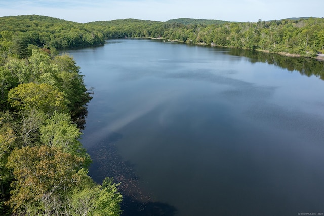 56 Mount Tom Passway Passway, Morris, CT 06763 - water view featuring a forest