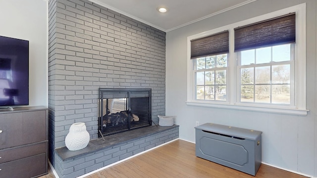 living room featuring ornamental molding, a fireplace, and wood finished floors