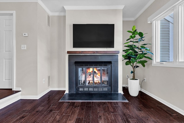 details featuring a warm lit fireplace, crown molding, baseboards, and wood finished floors