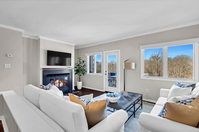 living room with a glass covered fireplace, dark wood-style floors, baseboards, and ornamental molding