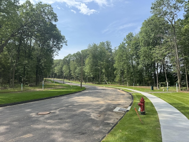603 Village St, Bristol, CT 06010 - view of home's community with a yard and a view of trees