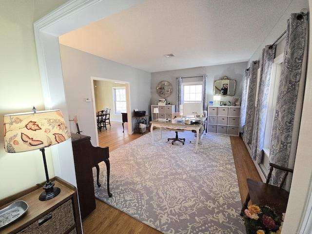 living room featuring wood finished floors and a wealth of natural light