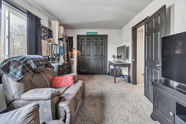 carpeted living room featuring a textured ceiling