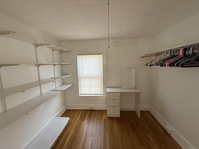 spacious closet with wood finished floors