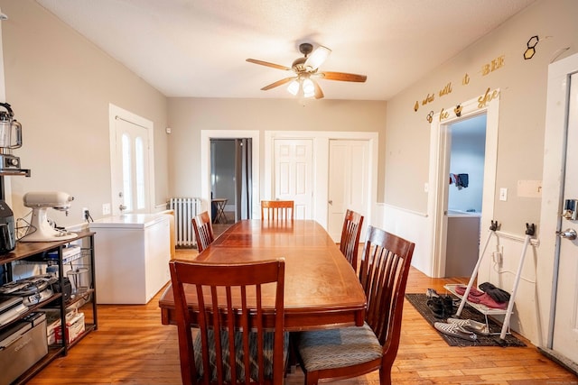 dining area with radiator heating unit, a ceiling fan, and light wood-type flooring