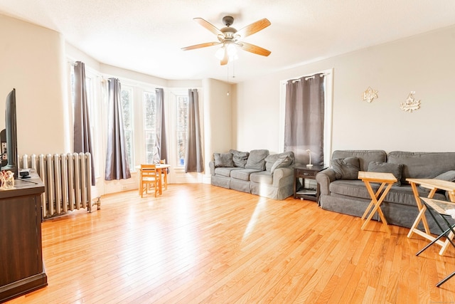 living room with a ceiling fan, light wood-style floors, and radiator heating unit