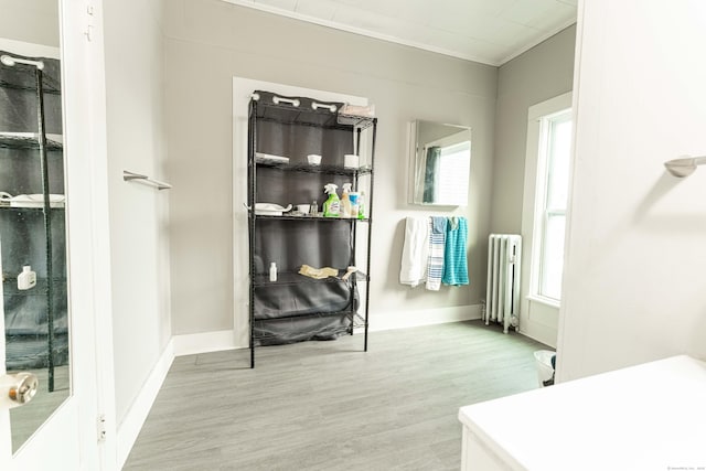 bathroom featuring radiator, baseboards, and wood finished floors