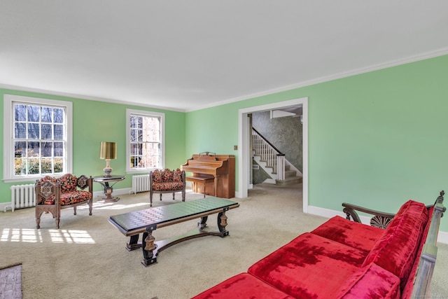 carpeted living room featuring stairs, crown molding, and radiator