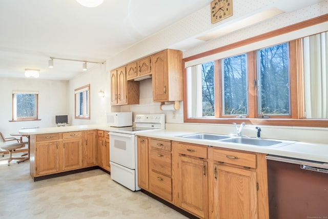 kitchen featuring a sink, white appliances, a peninsula, and a wealth of natural light