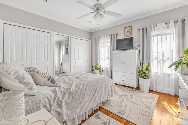 bedroom with ornamental molding, multiple windows, multiple closets, and light wood-type flooring