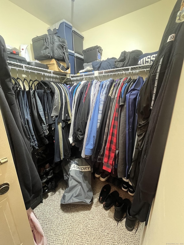 view of spacious closet