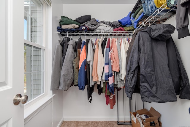 walk in closet featuring carpet floors