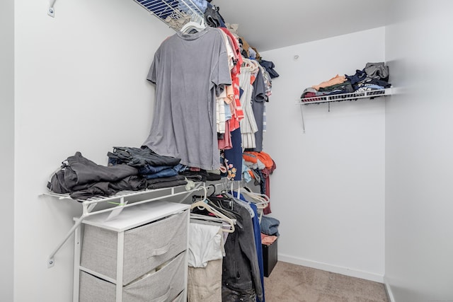 spacious closet with carpet