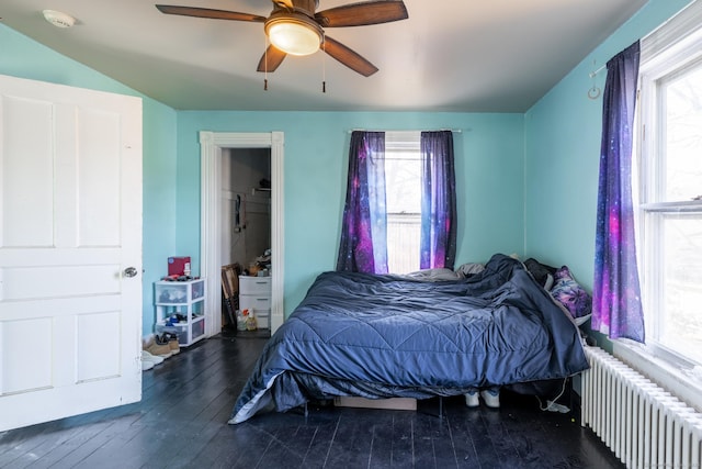 bedroom featuring multiple windows, radiator, ceiling fan, and wood-type flooring