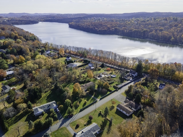 birds eye view of property with a forest view and a water view