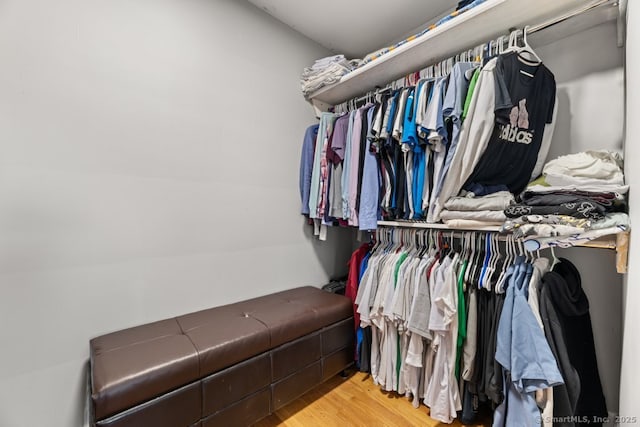 walk in closet featuring wood finished floors