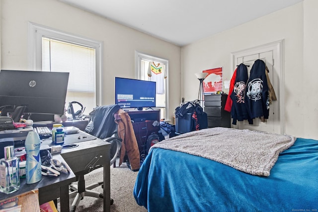 view of carpeted bedroom