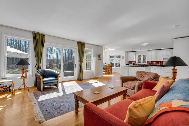 living room featuring baseboards, light wood-style floors, and track lighting