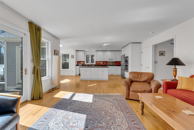 living room with light wood-style floors