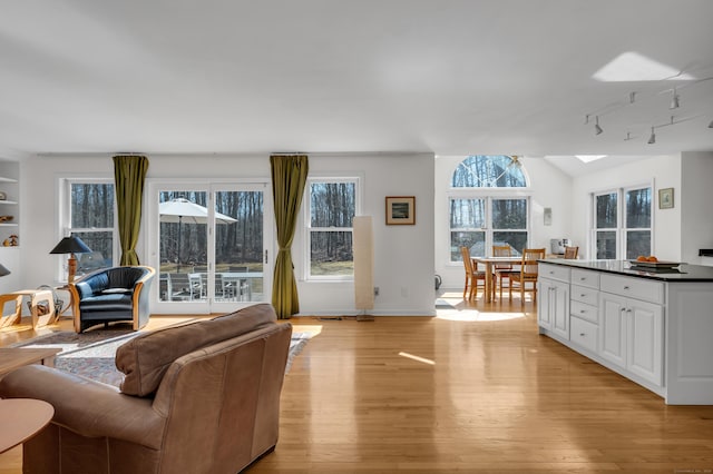 living room with vaulted ceiling with skylight, rail lighting, light wood-style floors, and baseboards