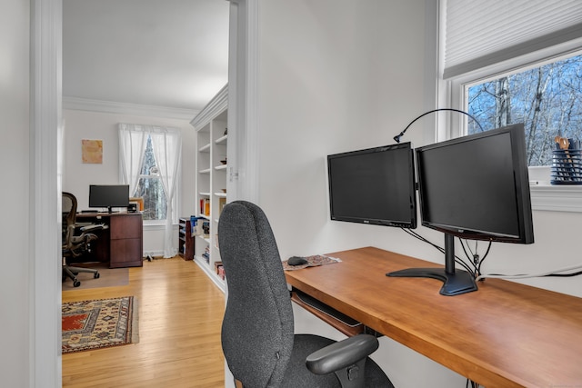 office area featuring wood finished floors and crown molding