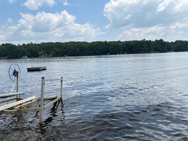 view of dock featuring a view of trees and a water view