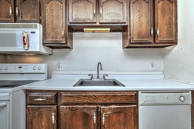 kitchen featuring dark brown cabinetry, white appliances, light countertops, and a sink