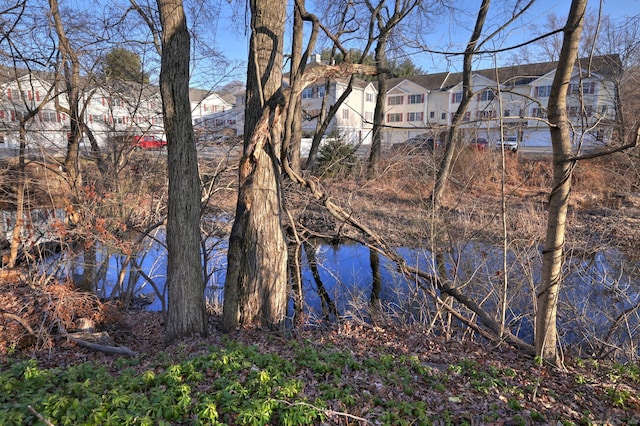 view of water feature featuring a residential view