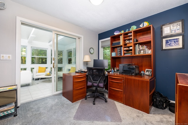 tiled office space with plenty of natural light and carpet floors