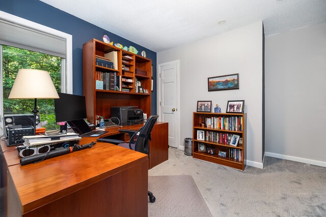 47 Jeremy River Dr, Colchester, CT 06415 - office space featuring carpet and baseboards