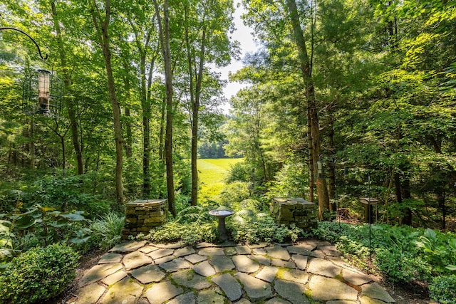 view of patio featuring a view of trees