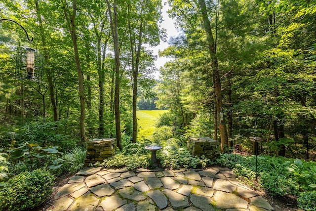 47 Jeremy River Dr, Colchester, CT 06415 - view of patio with a wooded view