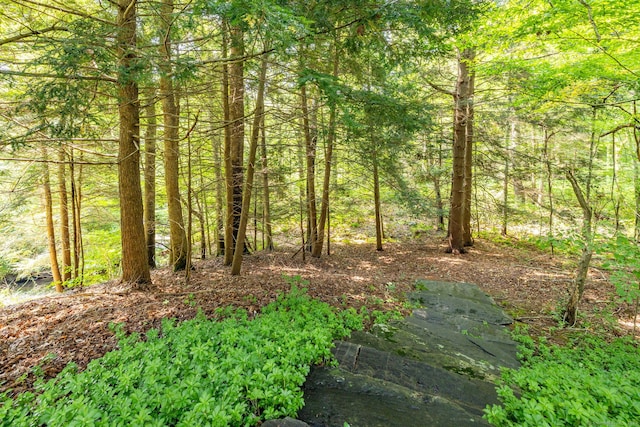 view of local wilderness featuring a wooded view