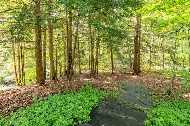 47 Jeremy River Dr, Colchester, CT 06415 - view of woods